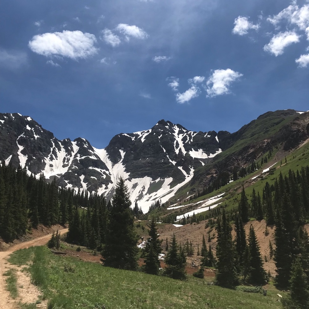 Meet your Posher, Bailey